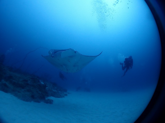 P8210335