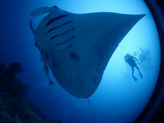 P8210341