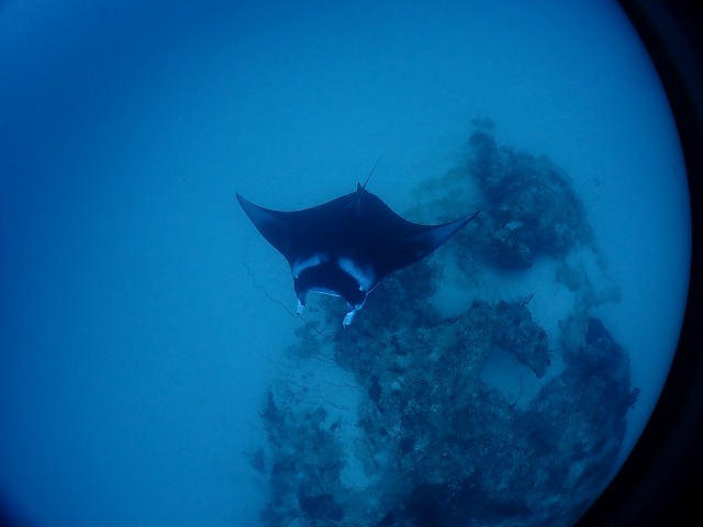 P8210360