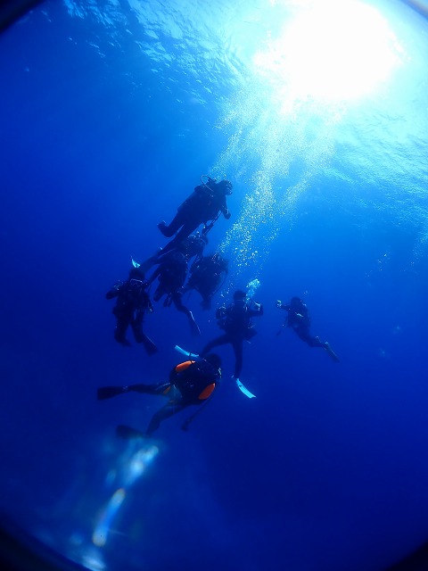 P8270182