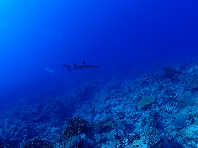 P8310013