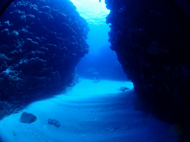 P8310027