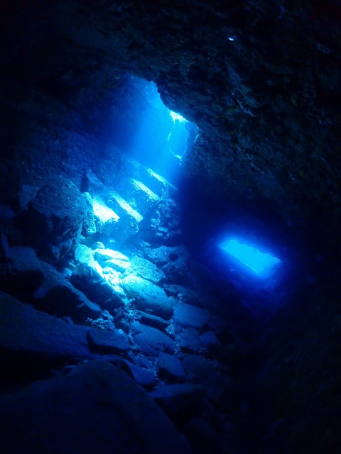 P8310061