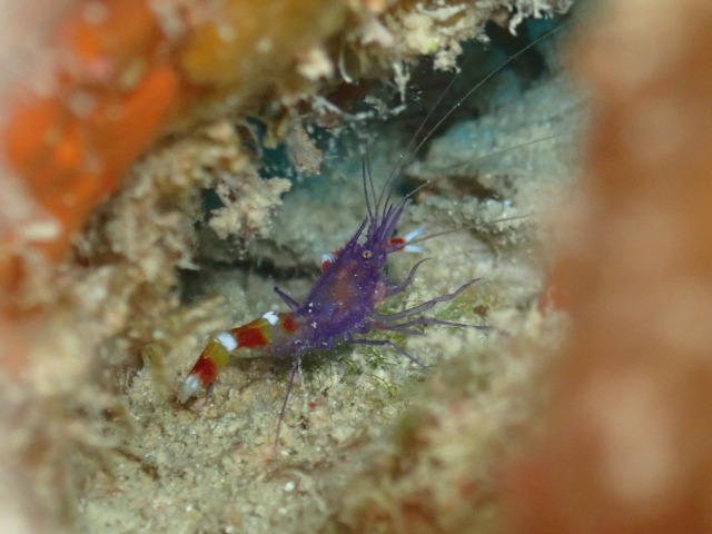 P9010059