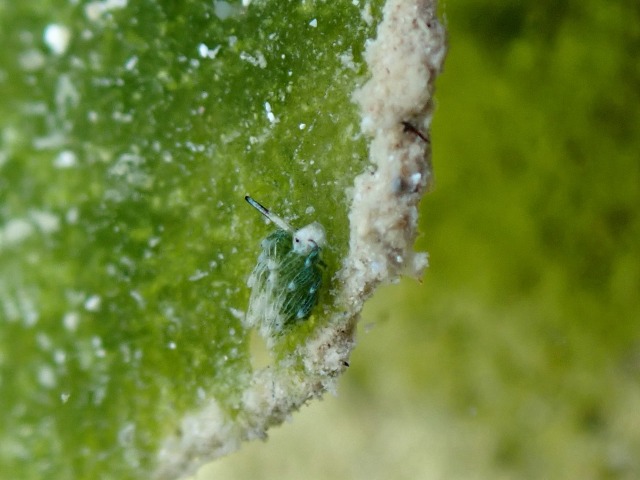 P9010068