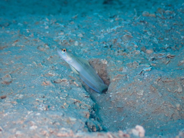 P9010108