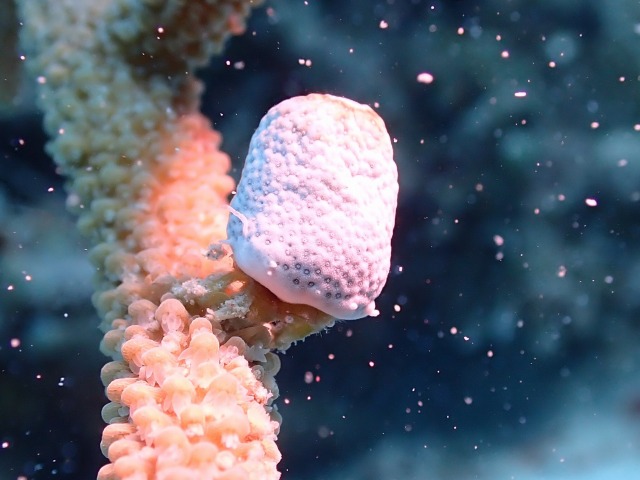 P9020063