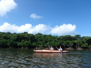P9090066