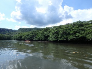 P9090095