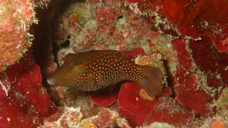 P9090293