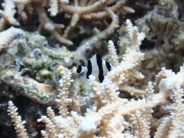 P9170150