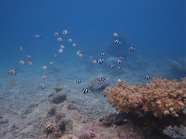 P9180079