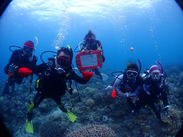 ラストの海は 西表島 ダイビング スノーケル カヌー トレッキング