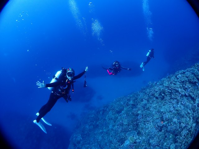 P3232014