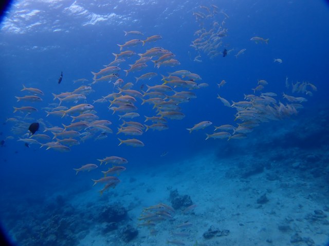 P3290080