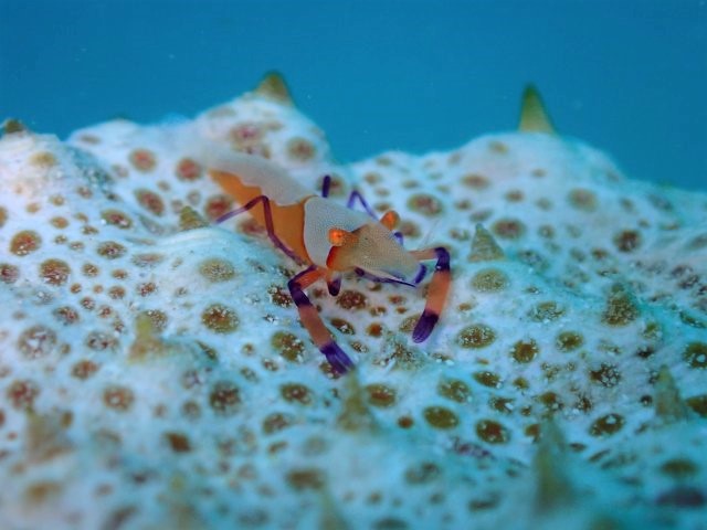 P3290112