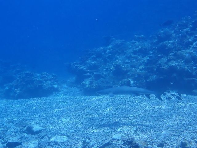 P5040077
