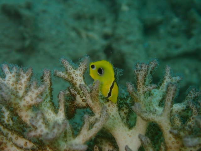 P6050538