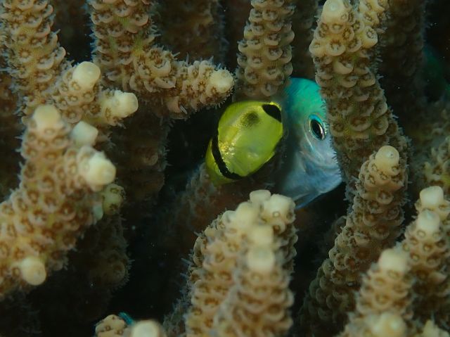 P6050582