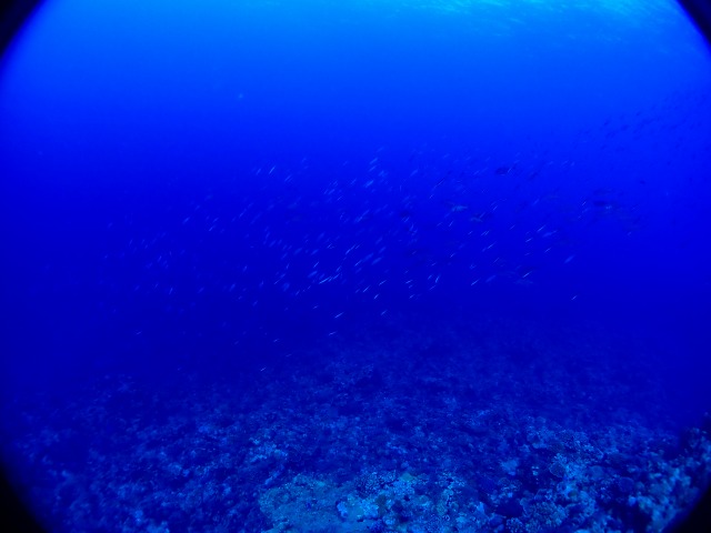 P6240339