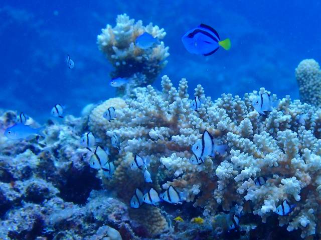 P7020305