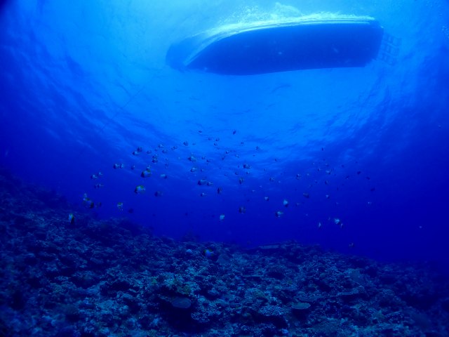 P7070414