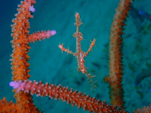P7180801