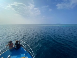 IMG_1891