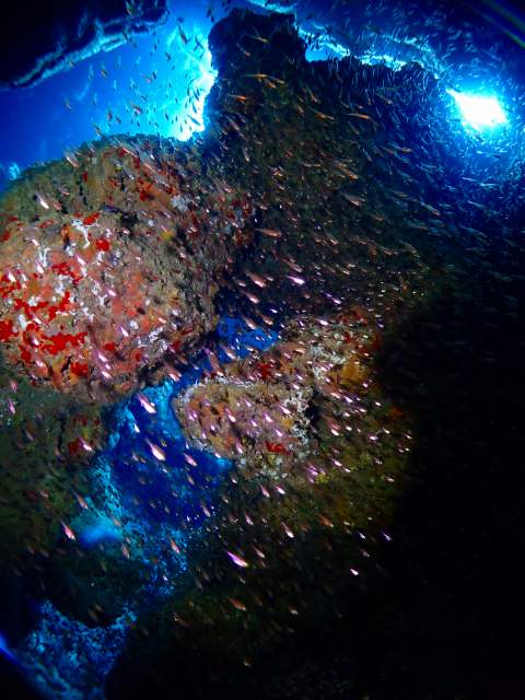 P8110940