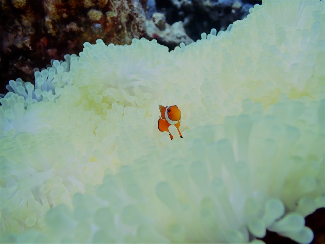 P9231004