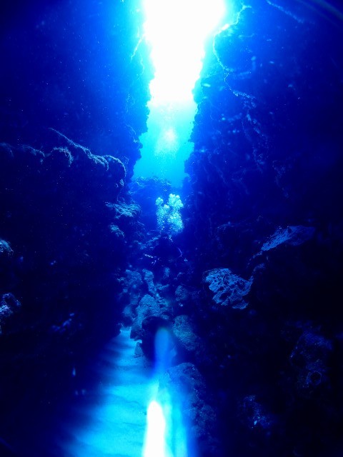 P9231095