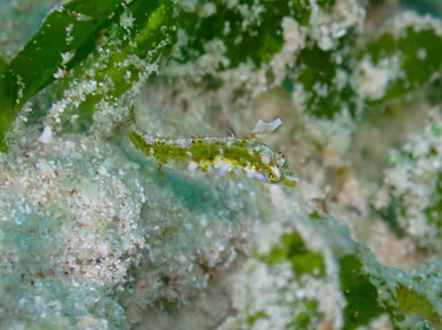 PB081191