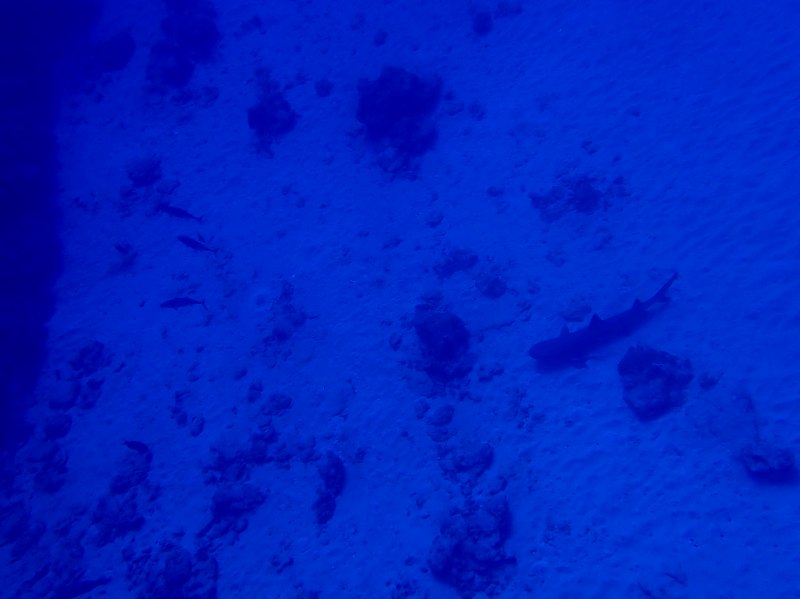 PC100342