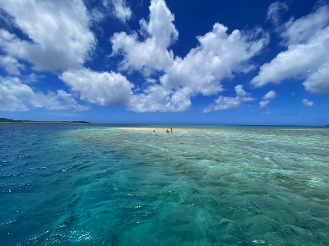 初夏の海は最高 西表島 ダイビング スノーケル カヌー トレッキング